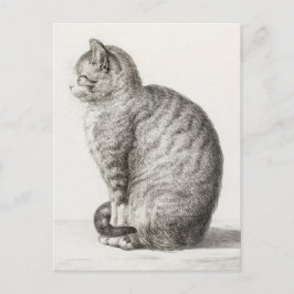 Cute Cat Sketch Jean-Bernard Duvivivier Vykort