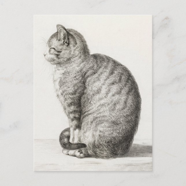 Cute Cat Sketch Jean-Bernard Duvivivier Vykort (Framsida)
