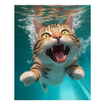 Cute Cat Swimming Diving Underwater i Bassäng Funn