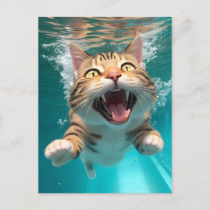 Cute Cat Swimming Diving Underwater i Bassäng Funn Vykort
