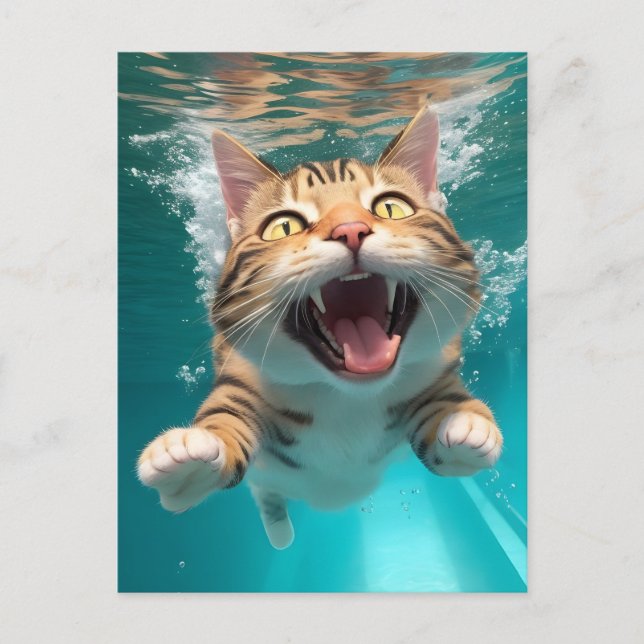 Cute Cat Swimming Diving Underwater i Bassäng Funn Vykort (Framsida)
