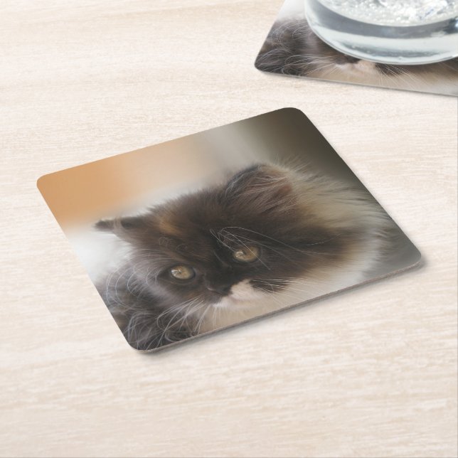 Cute Cat Underlägg Papper Kvadrat (Vinklad)