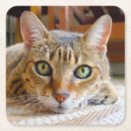 Cute Cat underlägg Papper Kvadrat