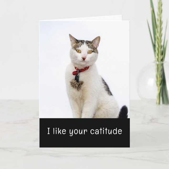Cute Cat Valenitnes dagskort Helgkort (Framsida)