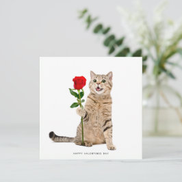 Cute Cat Valentines day kort
