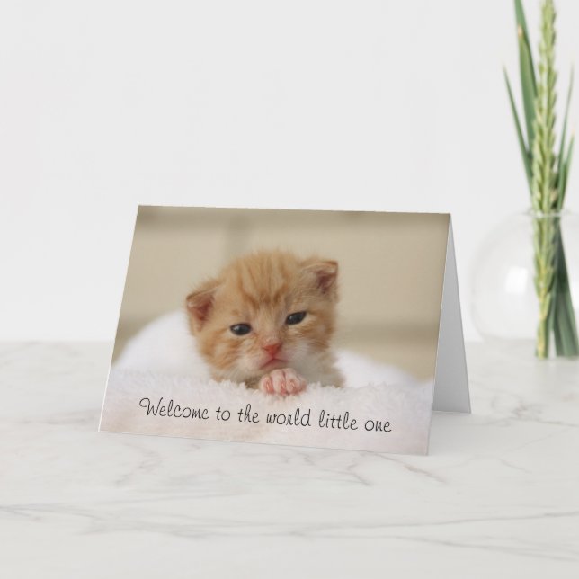Cute Cat Välkommen till hälsningskortet baby Kort (Framsida)