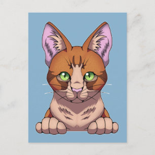Cute Cat Vykort