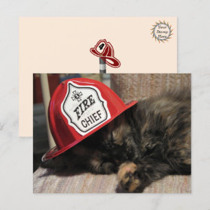 Cute Cat-vykort - brandchef Vykort