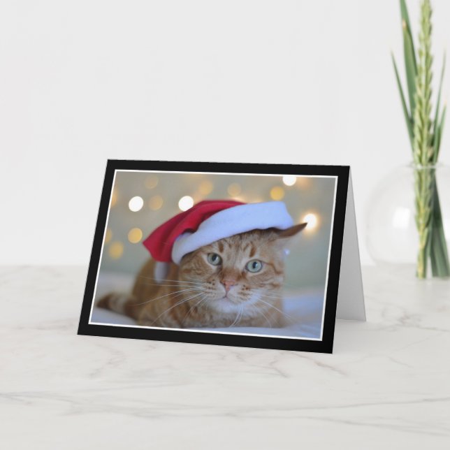 Cute Cat Wearing a Santa Hat-julkort Kort (Framsida)