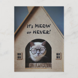 Cute Cat Wearing Glasses Det är Meow eller Aldrig Vykort