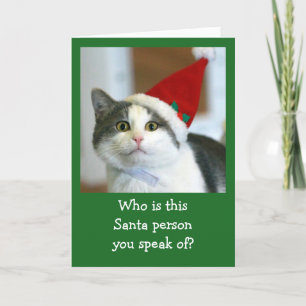 Cute Cat Wearing Santa Hat Helgkort