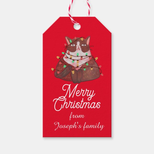 Cute cat with christmas light presentetikett (Framsidan)