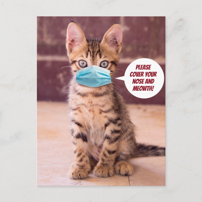 Cute Cat with Mask - Täck din mat! Vykort (Framsida)