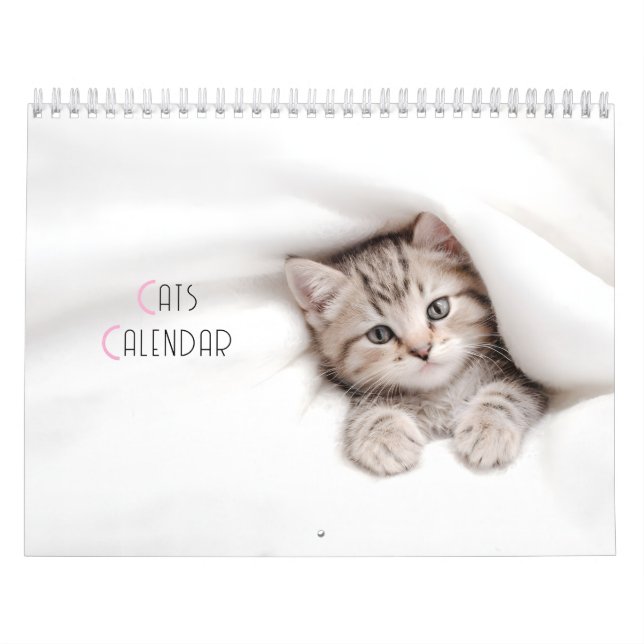 Cute Cats Calendar Kalender (Omslag)