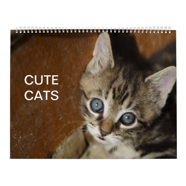 Cute Cats Calendar Kalender (Omslag)