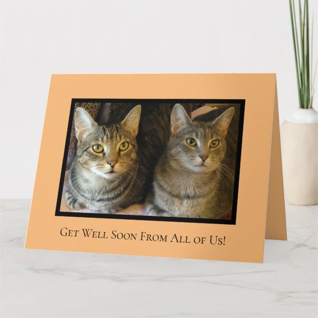 Cute Cats Cheerful Pets Parrot kommer snart Kort (Framsida)