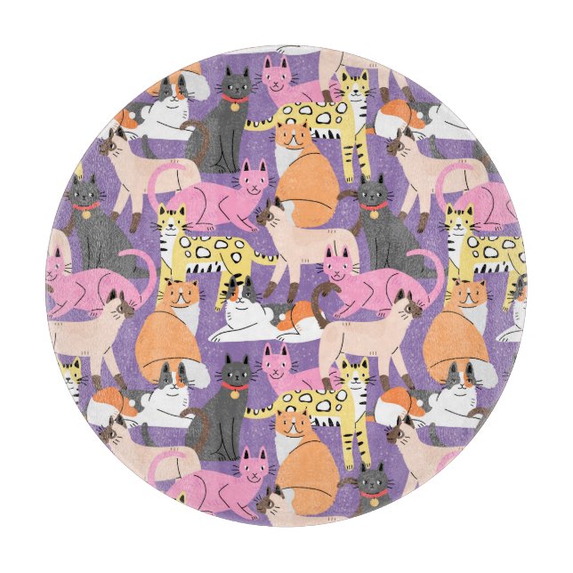 Cute Cats Cittboard (Framsidan)