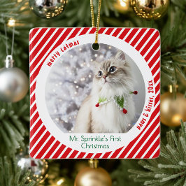 Cute Cats First Christmas Festive Keepsake Julgransprydnad Keramik