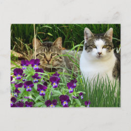 Cute Cats i Blomsterträdgård/Collage Art Vykort