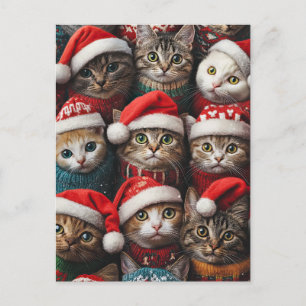 Cute Cats i jultomten Helgdag Pets Vykort