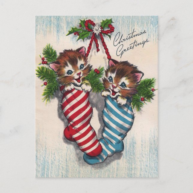 Cute Cats in Crhistmas Socks Vykort (Framsida)