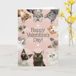 Cute Cats Katt Lover Glad Alla hjärtans dag Kort