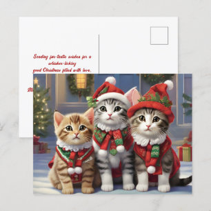 Cute Cats med tomathattar Vykort
