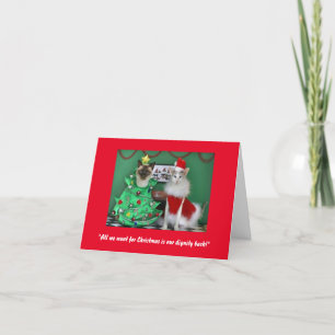 Cute Cats på ett inköpt julkort Helgkort