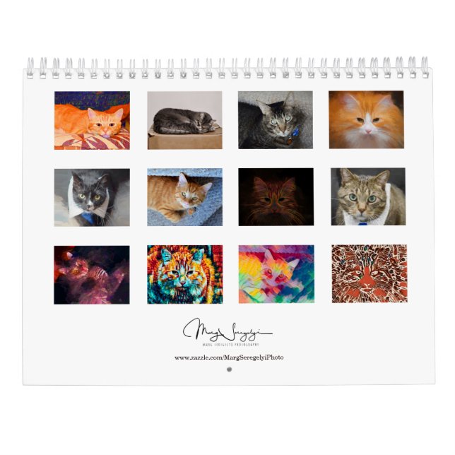 Cute Cats Photo Art Design 2023 månadsvis Kalender (Baksida)