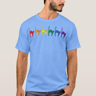 Cute Cats Rainbow Flagga T Shirt