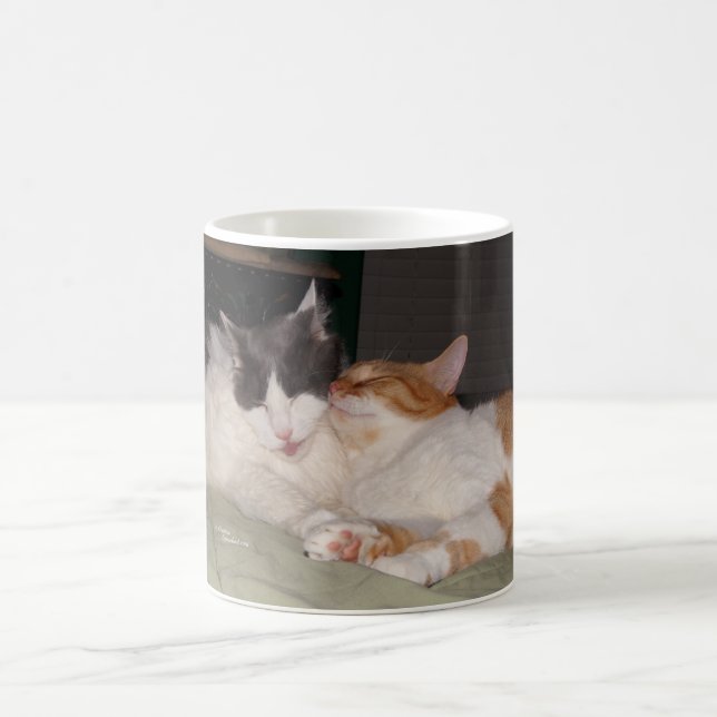 Cute Cats Sleeping Rule Mugg (Center)
