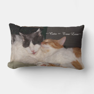 Cute Cats sover Äkta kärlek Pillow Lumbarkudde