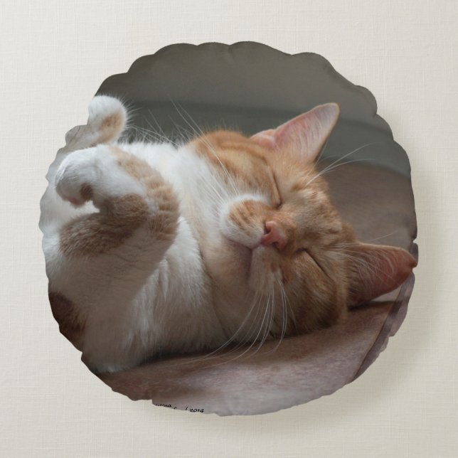 Cute Cats sover runda Dekorativ kudde (Framsidan)