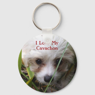 Cute Cavachon Puppy Keychain Nyckelring