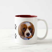 Cute Cavalier Kung Charles Spain Coffee Mugg