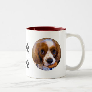 Cute Cavalier Kung Charles Spain Coffee Mugg