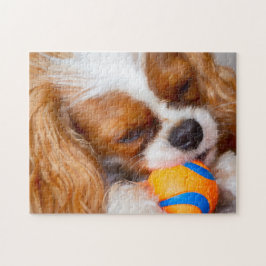 Cute Cavalier med Boll-pussel Pussel