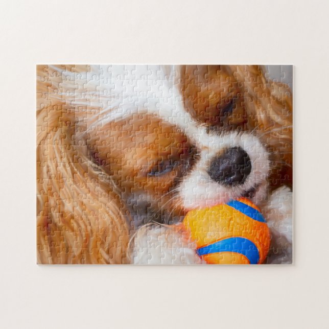 Cute Cavalier med Boll-pussel Pussel (Horisontell)