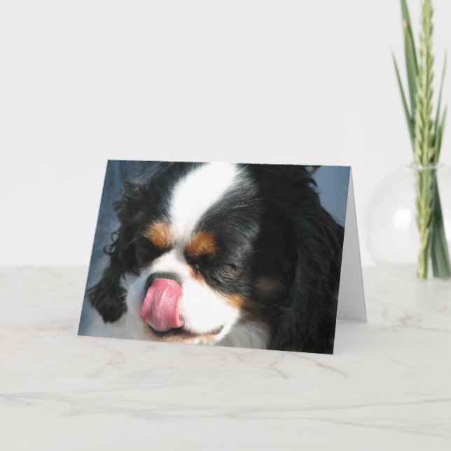 Cute Cavalier Spanska hälsningskort för Hund Kort (Framsida)