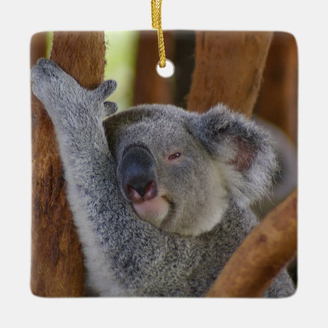 Cute Ceramic Koala Ornament (Framsida)