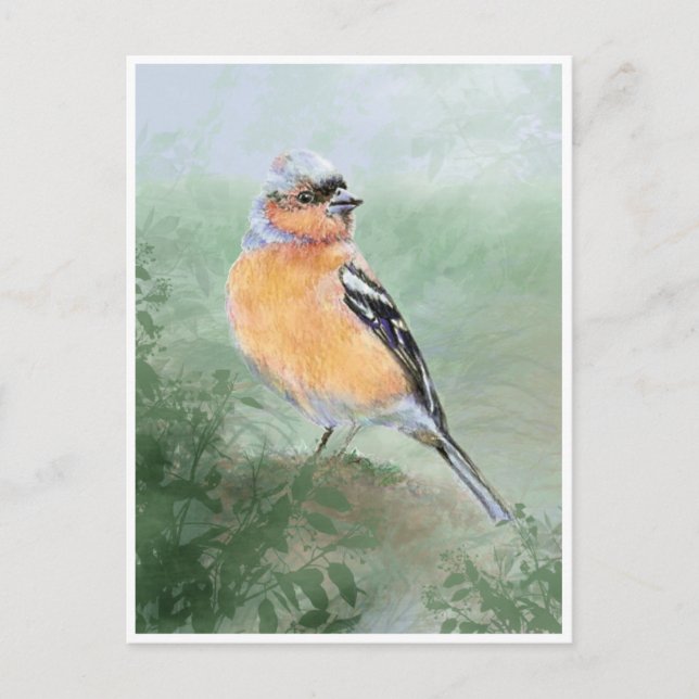 Cute Chaffinch, Watercolor Bird Collection Vykort (Framsida)