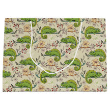 Cute Chameleon Lizard