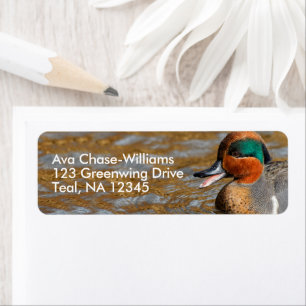 Cute Chatty Grönt-Winged Teal Anka vid dammen Returadress Etikett