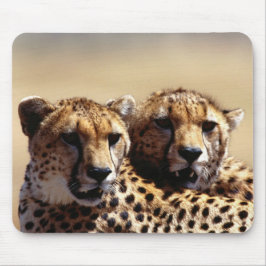 Cute Cheetah Pair Mouse Pad Musmatta