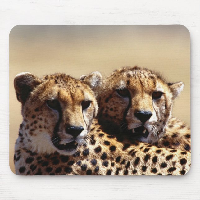 Cute Cheetah Pair Mouse Pad Musmatta (Framsidan)