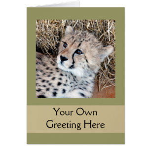 Cute Cheetah Unge Photo Hälsningskort