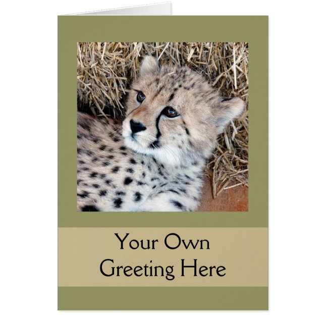 Cute Cheetah Unge Photo Hälsningskort (Framsidan)