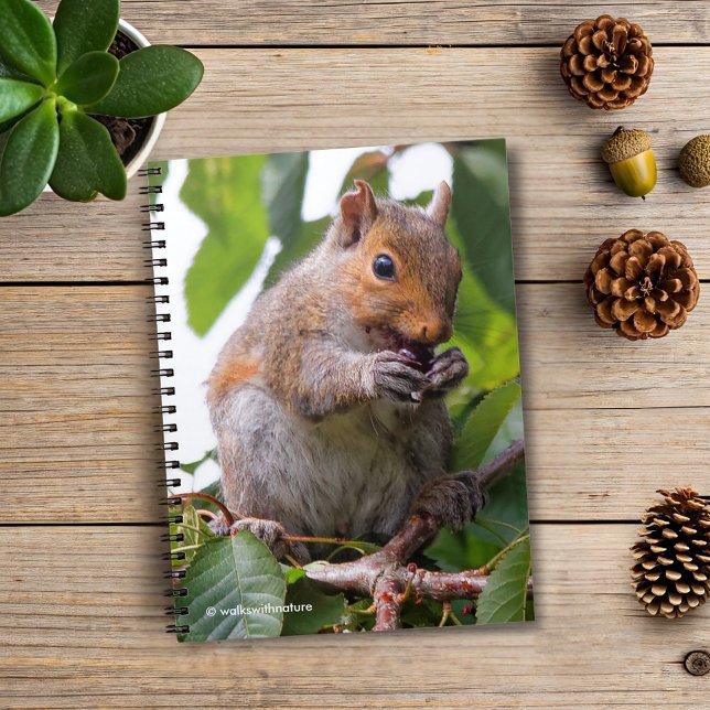 Cute Cherry Picking Östra Grått Squirrel Anteckningsbok Med Spiral (Cherry Picking Eastern Grey Squirrel Journal Cover Photo)