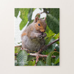 Cute Cherry Picking Östra Grått Squirrel Pussel