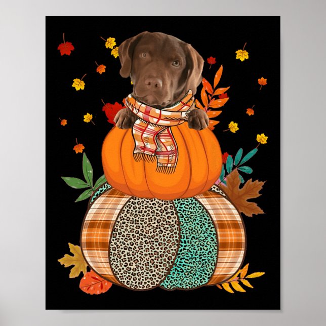 Cute Chesapeake Bay Retriever Pumpkinthanksgiving Poster (Framsidan)
